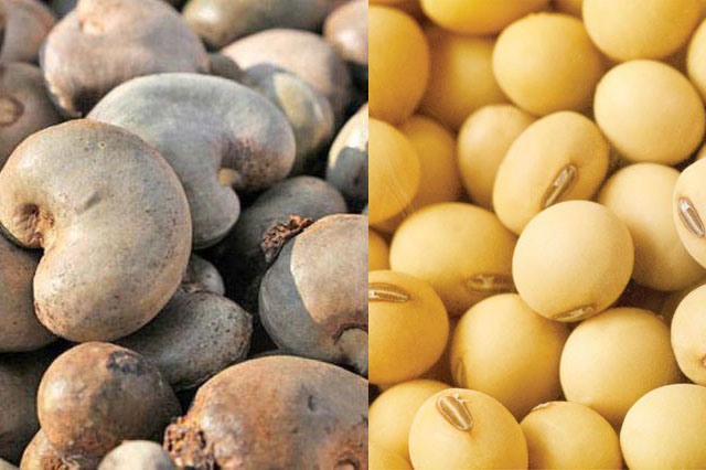 social-resposibility